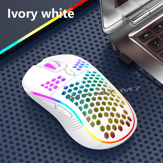 2.4G Wireless Gaming Mouse